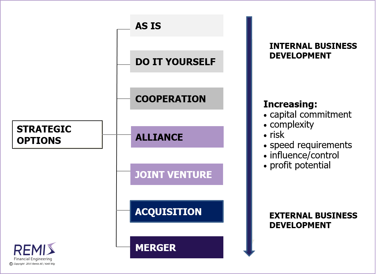 An overview of strategic M&A options and their characteristics, 
  
  M&A strategy, M&A strategy in Norway, 
  acquisition, acquisitions, merger, mergers, divestiture, divestitures, trade sale, trade-sale, strategic alliance, joint venture, 
  acquisition in Norway, acquisitons in Norway, merger in Norway, mergers in Norway, 
  M&A in Norway, mergers & acquisitions in Norway, mergers and acquisitions in Norway, 
  divestiture in Norway, divestitures in Norway, trade sale in Norway, trade-sale in Norway, 
  strategic alliance in Norway, strategic alliances in Norway, 
  joint venture in Norway, joint ventures in Norway, 

  M&A consulting, M&A services, M&A consultant, M&A consulting in Norway, M&A services in Norway, M&A consultant in Norway, 

  company, companies, business, businesses, enterprise, enterprises, firm, firms, 
  company in Norway, companies in Norway, business in Norway, businesses in Norway, enterprise in Norway, enterprises in Norway, firm in Norway, firms in Norway, 

  Norway, Scandinavia, Nordics, Northern Europe, Remis AS, Ketil Wig